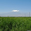 Ararat_valley.jpg