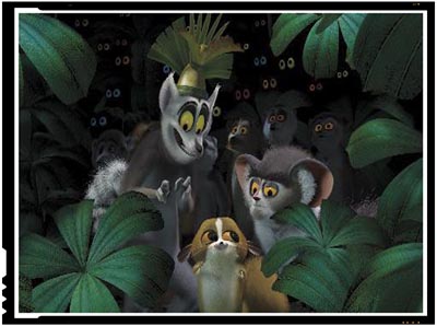 Madagascar 2005