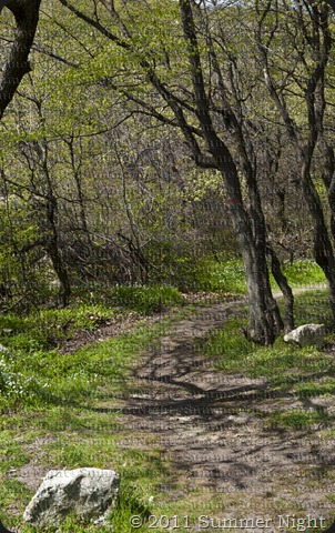 Перперикон