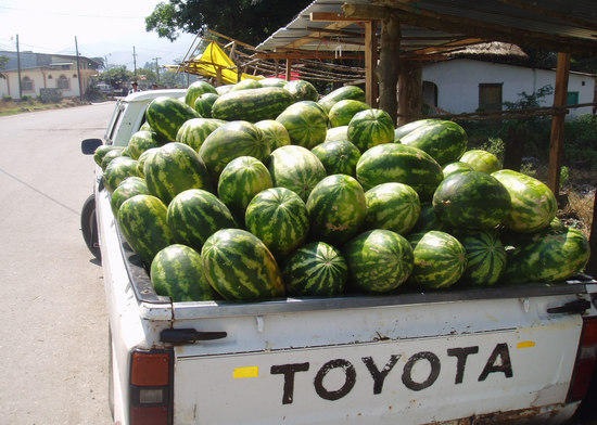 [Watermelon Truck[3].jpg]