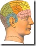 phrenology