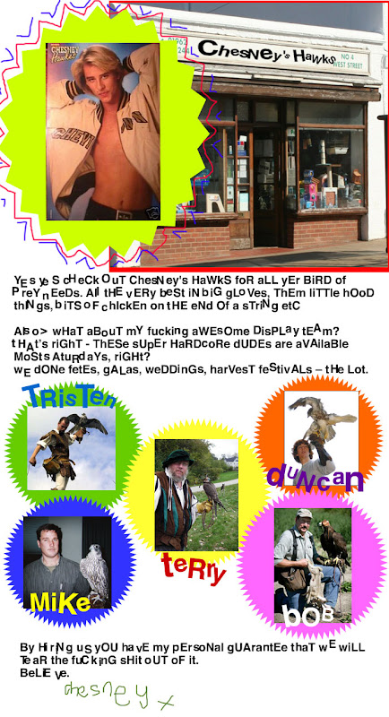 Chesney's hawkes - falconry display team