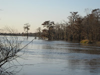 IMG_0882.JPG