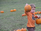 IMG_2361.JPG