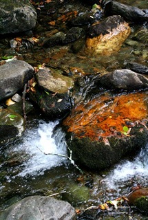 Water Water
