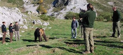 rodaje oso Tima