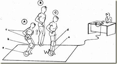 Research papers on vertical jump