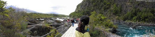 DSCF3077.jpg