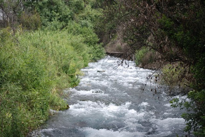 Spring at Dan