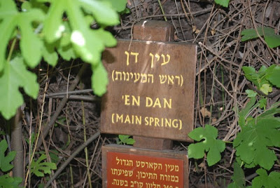Dan's Spring Sign