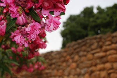 The Walls