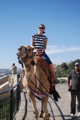 On a Camel