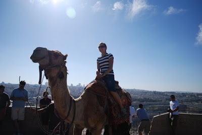 On a Camel