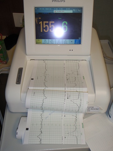 [P1011004[3].jpg]
