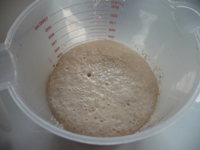 [foamy yeast[3].jpg]