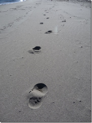 Reese's footprints