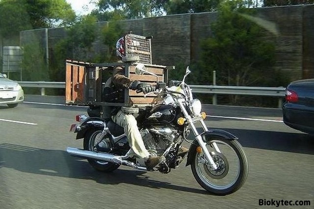 Transportando cosas en china - www.Biokytec.com - bye