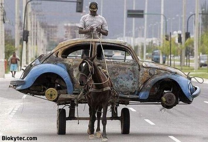[Transportando cosas en china - www.Biokytec.com - bye-3[3].jpg]
