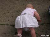 IMG_1715.JPG