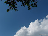 IMG_1614.JPG