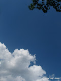 IMG_1631.JPG