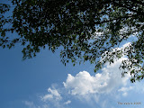 IMG_1633.JPG
