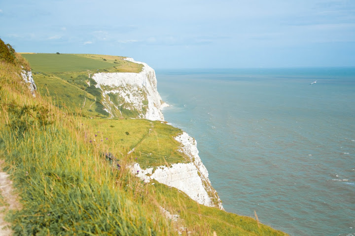 DSC_0098.jpg