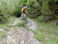 DSC00553.JPG Photo