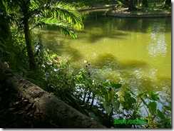 PICT0074
