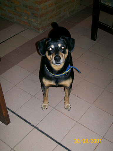 chochito
