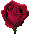 flor1