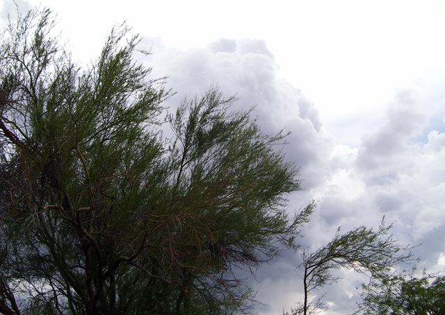 [wildclouds7252009114721AM2223x15782.jpg]
