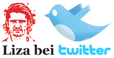 Lizas Welt bei Twitter