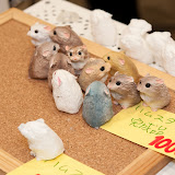 Nuts７.jpg