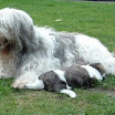 DSCF0016.JPG
