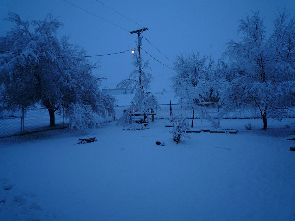 [Snow, Feb.2011 012[14].jpg]