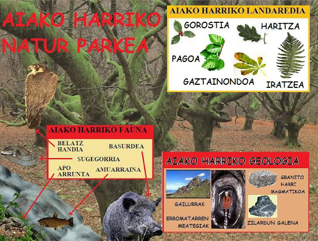 external image PAGADIA%20TO%C3%91O.jpg