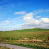 DSC_6172-1.JPG