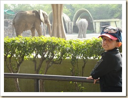 Shaurya at Zoo