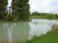 P1010744_Dx6125.jpg Photo