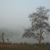 308_Lumbini.jpg, Лумбини, утро туманное, India-Nepal_2009