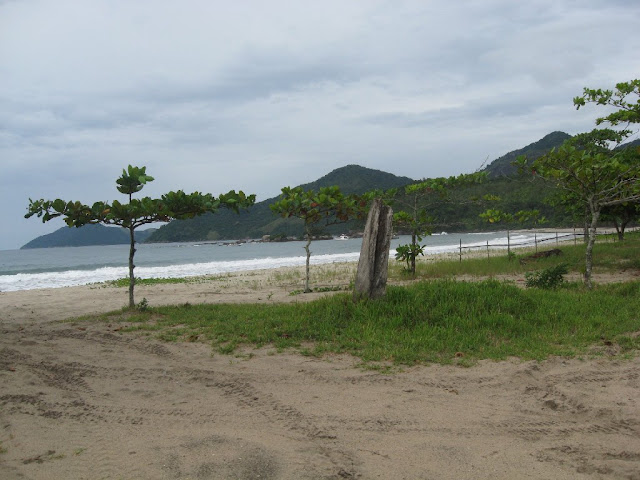 Foto von Trilha Castelhanos - Ilha Bela-SP