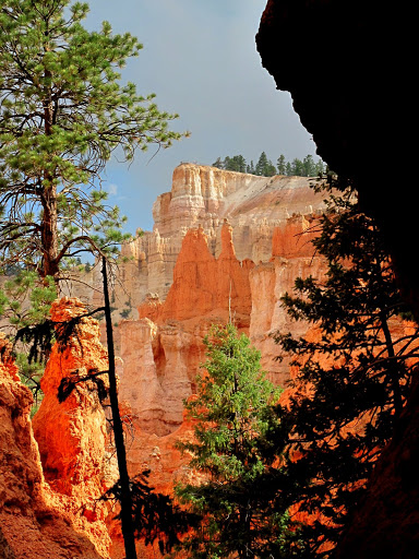 navaho