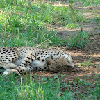 Picture 045 (Large).jpg