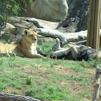 Picture 070 (Large).jpg