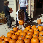 Pumpkin Patch 3.jpg
