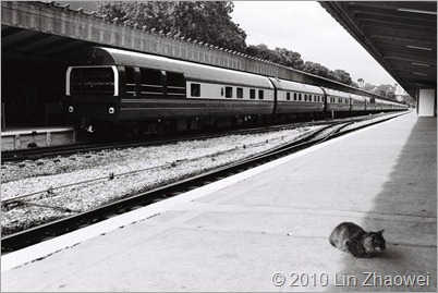 10.12.20 - Tanjong Pagar Railway Station (17)