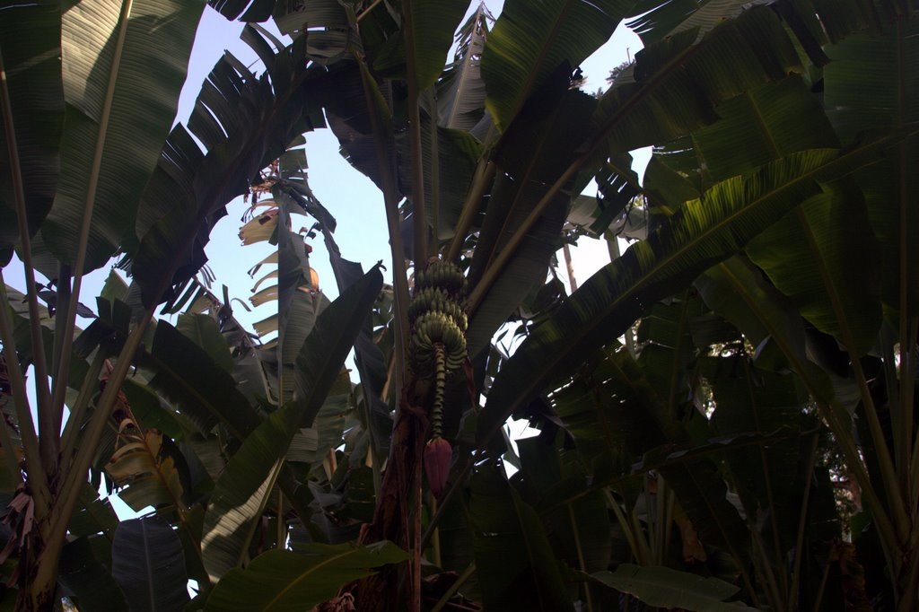 [IMG_4027.CR2[2].jpg]