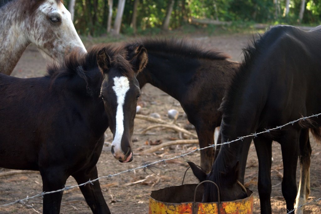 [IMG_4035.CR2[2].jpg]