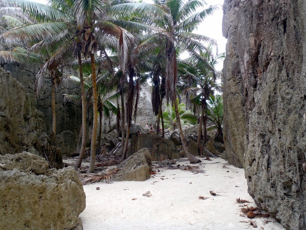 [P8220918[2].jpg]